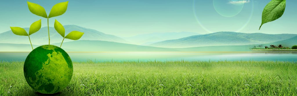 節(jié)能降碳，桑萊斯在行動！